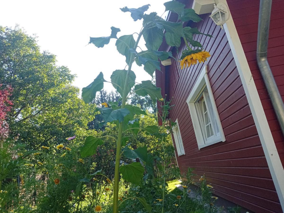 Ferienhaus Am Wald Wippra 外观 照片