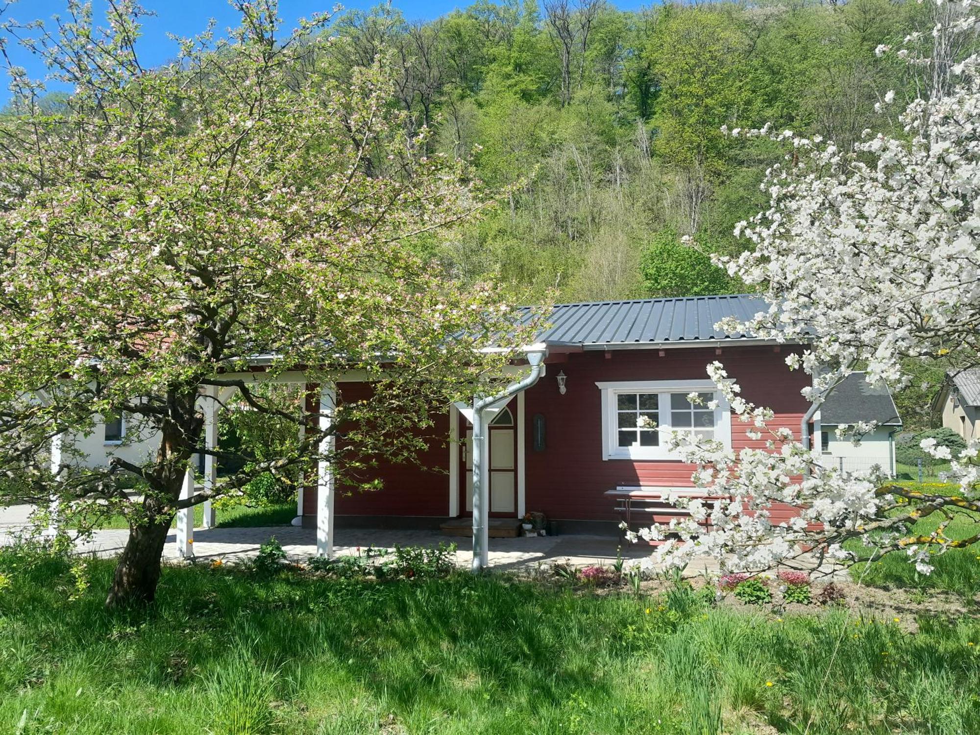 Ferienhaus Am Wald Wippra 外观 照片